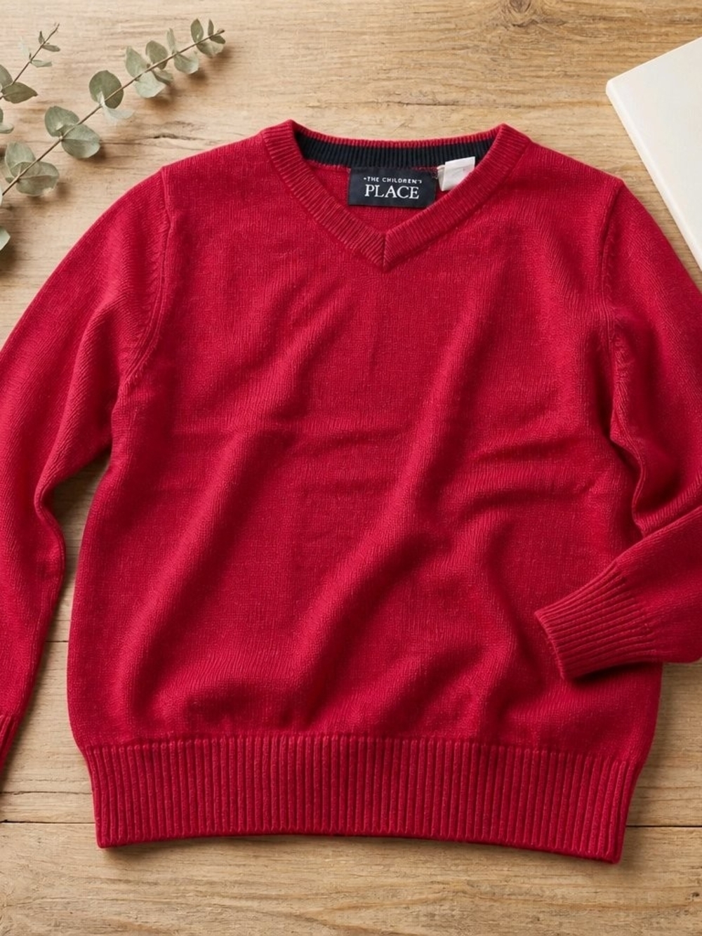 The Children's Place Red V-Neck Sweater